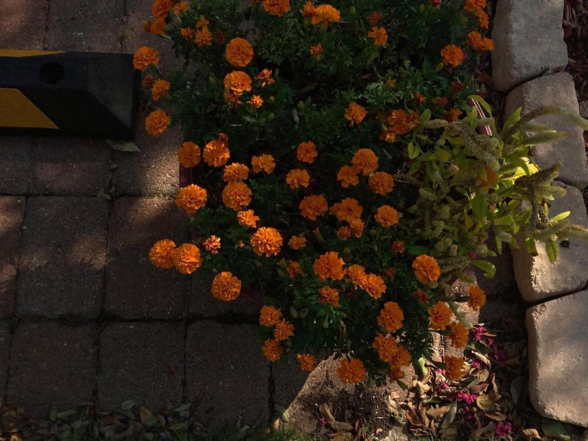 Granbury Gardens Bed And Breakfast Exterior foto